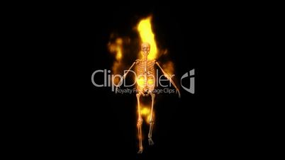 Skeleton on Fire Walking HD1080