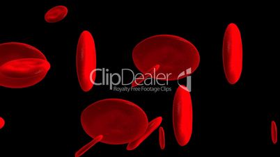 Blood cells loopable 3d animation