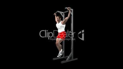 Back Pull Up with Alpha Channel HD1080