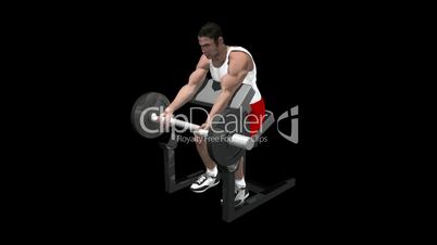 Bicep Curl with Alpha Channel HD1080