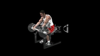 Bicep Curl with Alpha Channel HD1080