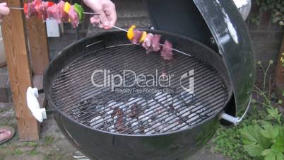 Kebabs on the barbecue