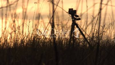 Filming on a sunset.