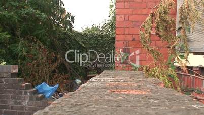 2 clips of inner city urban decay 4