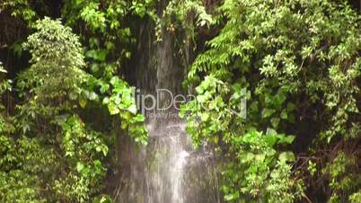 Pan down a cloudforest waterfall, Ecuador
