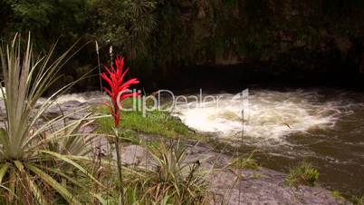 Andean river