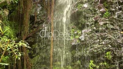 Pan down a cloudforest waterfall, Ecuador