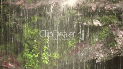 Waterfall in cloudforest, Ecuador
