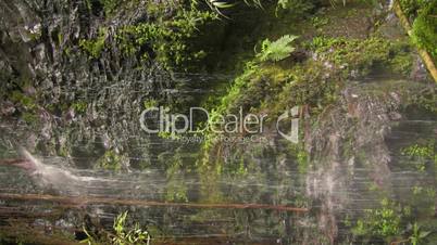 Cloudforest waterfall