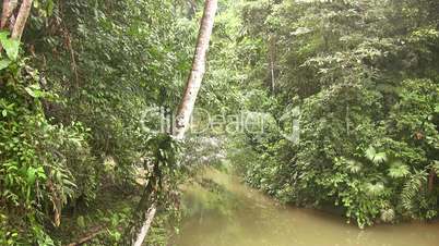 Bend in a river running through tropical rainforest