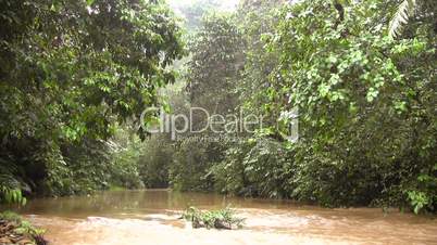 River running through tropical rainforest in Ecuador