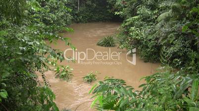 River running through tropical rainforest in Ecuador