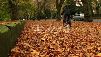 Young boy cycling through the autumn leaves