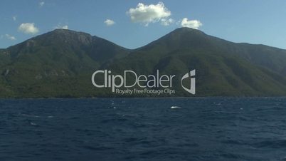 View of tree covered mountains from cruise ship