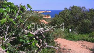 Blick auf das Meer - Küste der Algarve