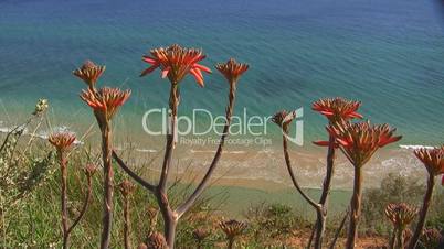 Blick auf einen Sandstrand - Küste der Algarve