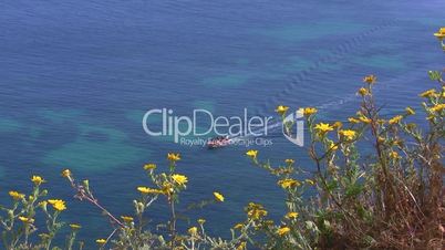 Blick zwischen gelben Blumen auf den Ozean - Küste der Algarve
