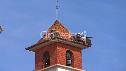 Zwei Storchennester auf einem Turmdach