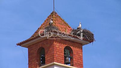 Zwei Storchennester auf einem Turmdach