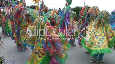 Colorful Brazilian Carnival
