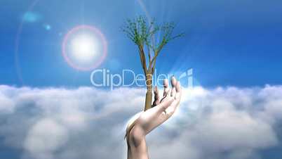 Hand in Sky with Growing Tree HD1080