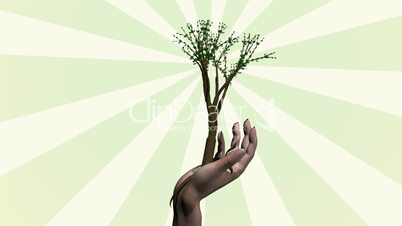 Hand Growing with Tree HD1080
