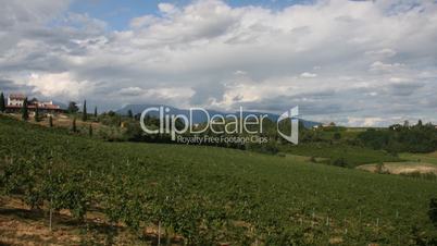 Italian vineyard. Time lapse.