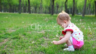 Little girl picking dandelion