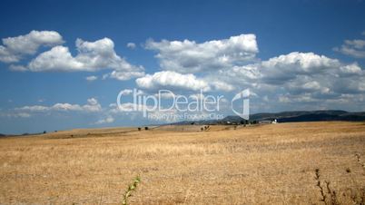 Field of dried grass. Time lapse.