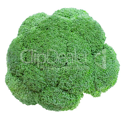 Broccoli