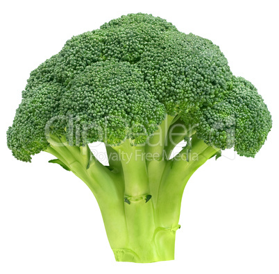 Broccoli