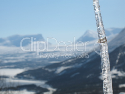 Wedding bands on Icicle