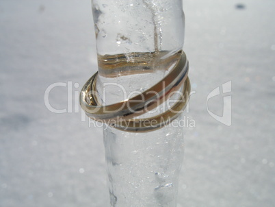 Wedding rings on Icicle