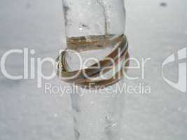 Wedding rings on Icicle