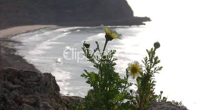 Steilküste an der Algarve in Portugal