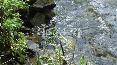 water lapping against rocks