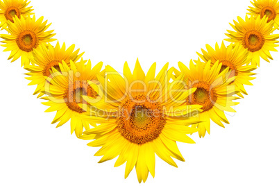 Necklace of Sunflowers for Someone Special