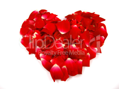Heart of Red Rose Petals