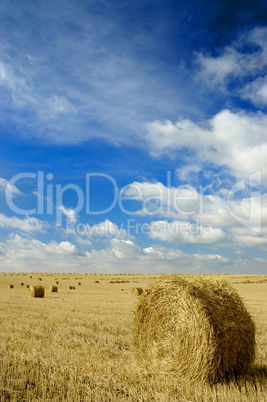 Round hay bales and blue sky
