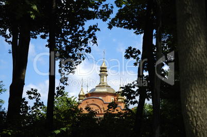 Domes of a forest monastery.