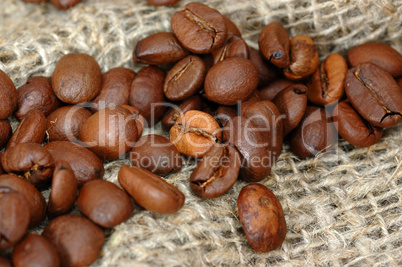 coffee grains.