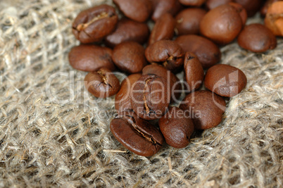 coffee grains.