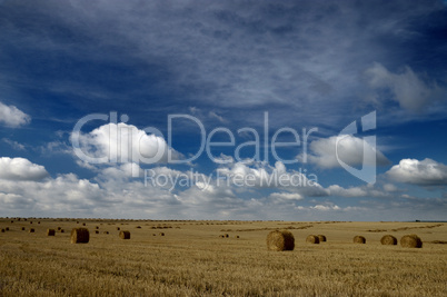 Round hay bales and blue sky