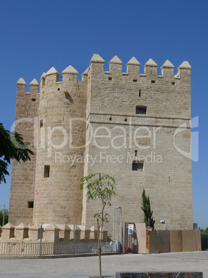 Torre de la Calahorra, Cordoba, Spanien