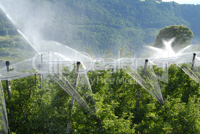 Bewässerung in Südtirol