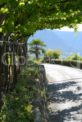 Wanderregion Südtirol