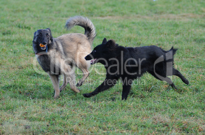 Tervuere und Groenendael