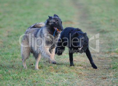 Tervuere und Groenendael