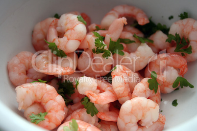 Shrimps