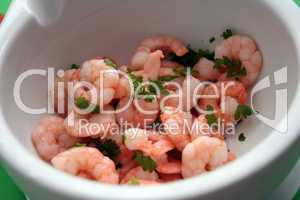 Shrimps